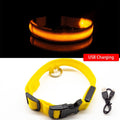 Coleira LED para Cães com Carregamento USB/Bateria Substituível
