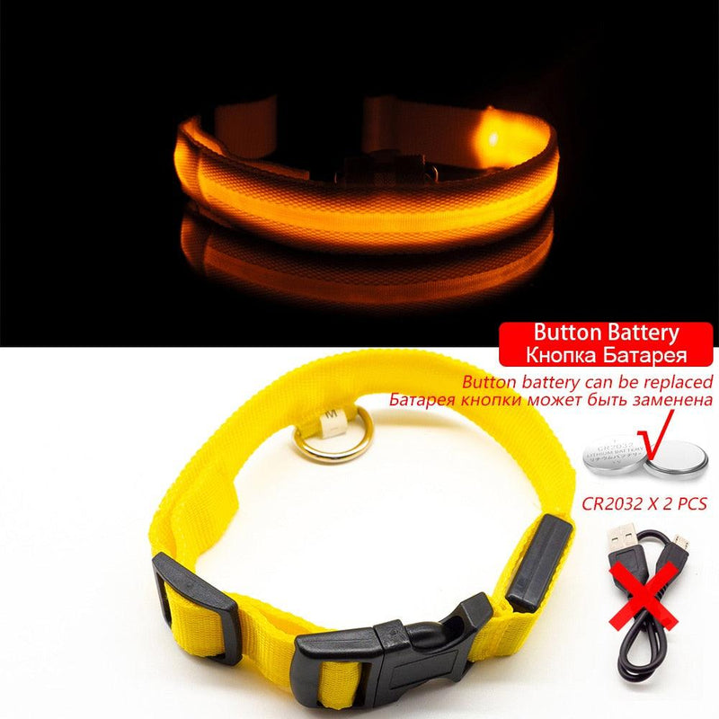 Coleira LED para Cães com Carregamento USB/Bateria Substituível