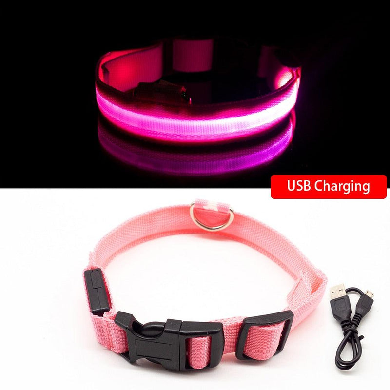 Coleira LED para Cães com Carregamento USB/Bateria Substituível