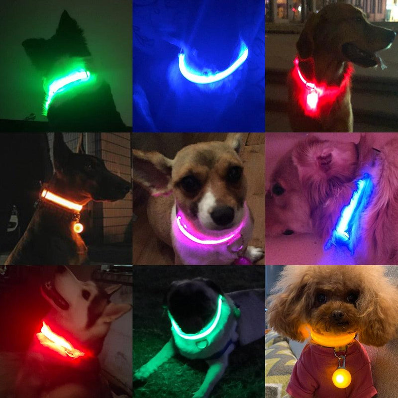 Coleira LED para Cães com Carregamento USB/Bateria Substituível