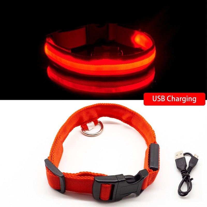 Coleira LED para Cães com Carregamento USB/Bateria Substituível