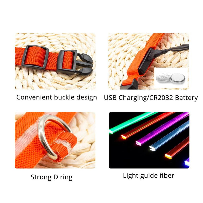 Coleira LED para Cães com Carregamento USB/Bateria Substituível