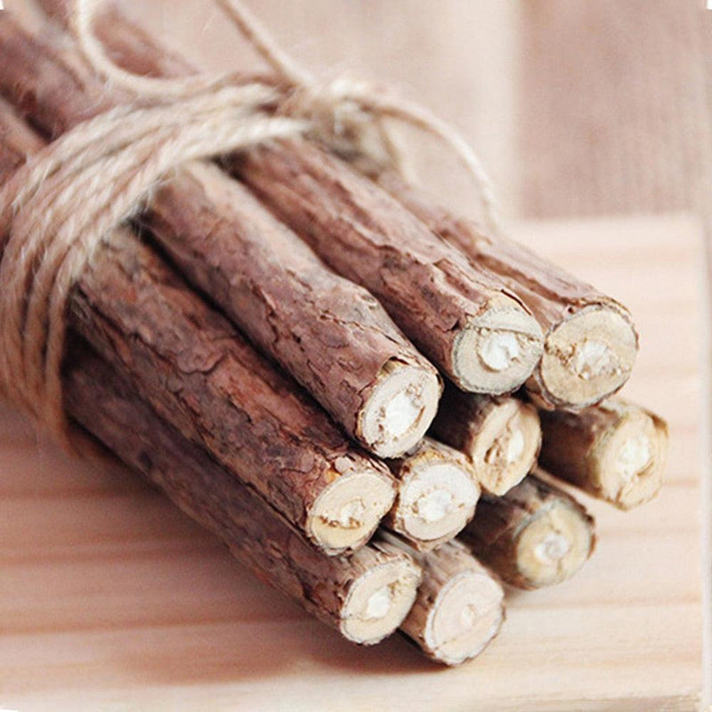 Bastão de Catnip Natural para Gatos - Limpeza e Saúde Dental