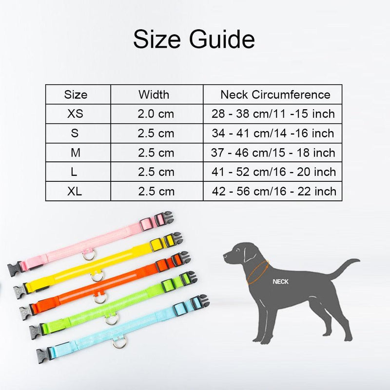 Coleira LED para Cães com Carregamento USB/Bateria Substituível