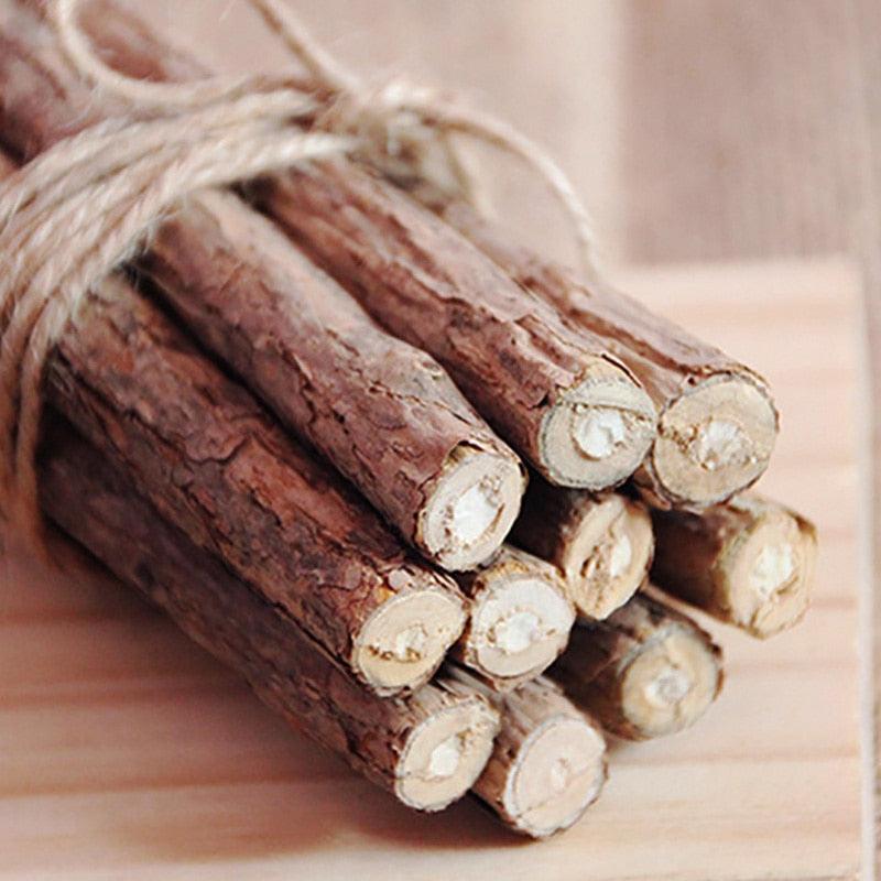 Bastão de Catnip Natural para Gatos - Limpeza e Saúde Dental