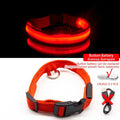 Coleira LED para Cães com Carregamento USB/Bateria Substituível