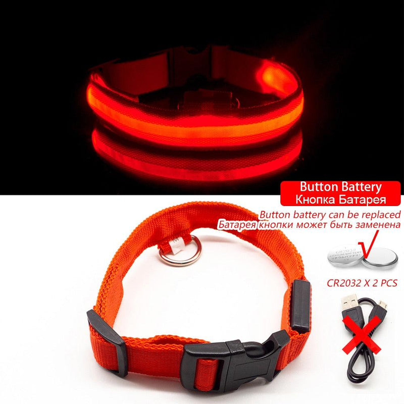 Coleira LED para Cães com Carregamento USB/Bateria Substituível