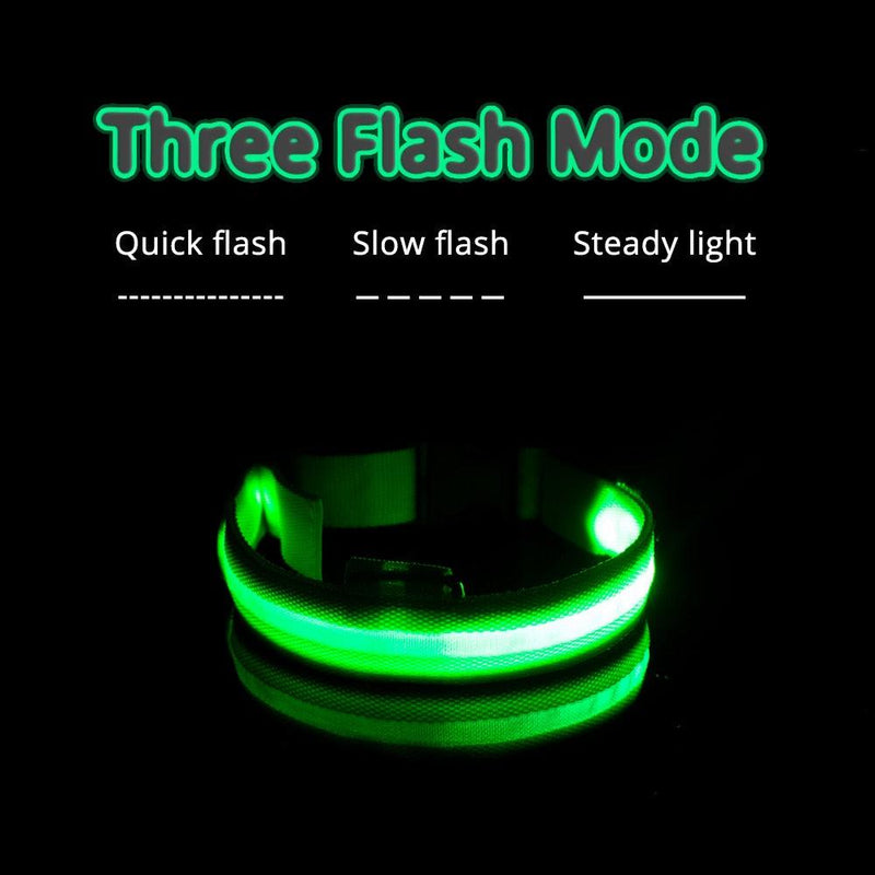 Coleira LED para Cães com Carregamento USB/Bateria Substituível