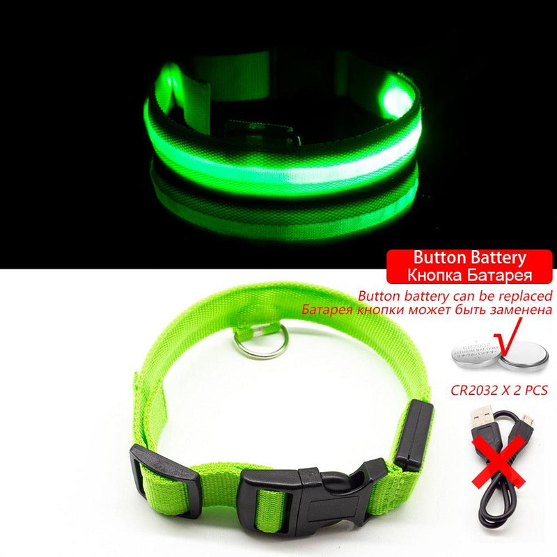 Coleira LED para Cães com Carregamento USB/Bateria Substituível