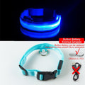 Coleira LED para Cães com Carregamento USB/Bateria Substituível