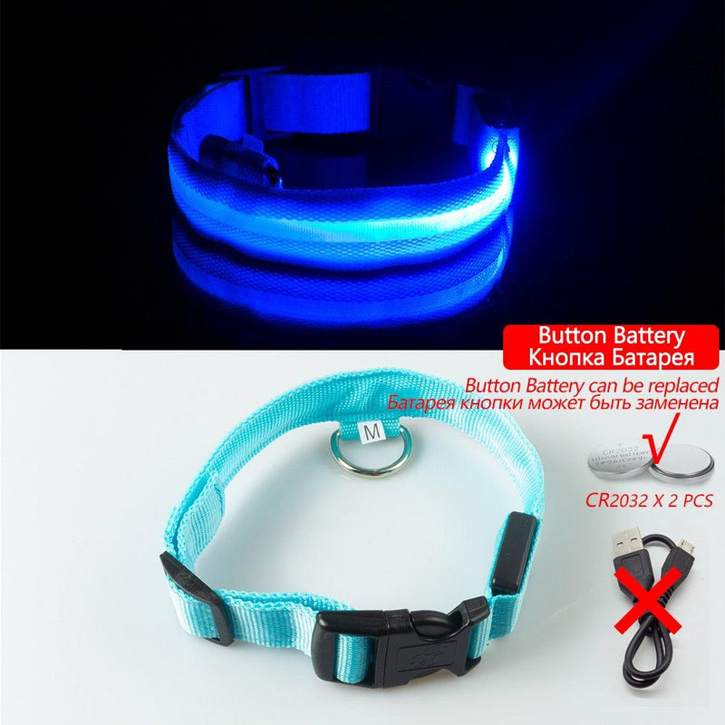 Coleira LED para Cães com Carregamento USB/Bateria Substituível