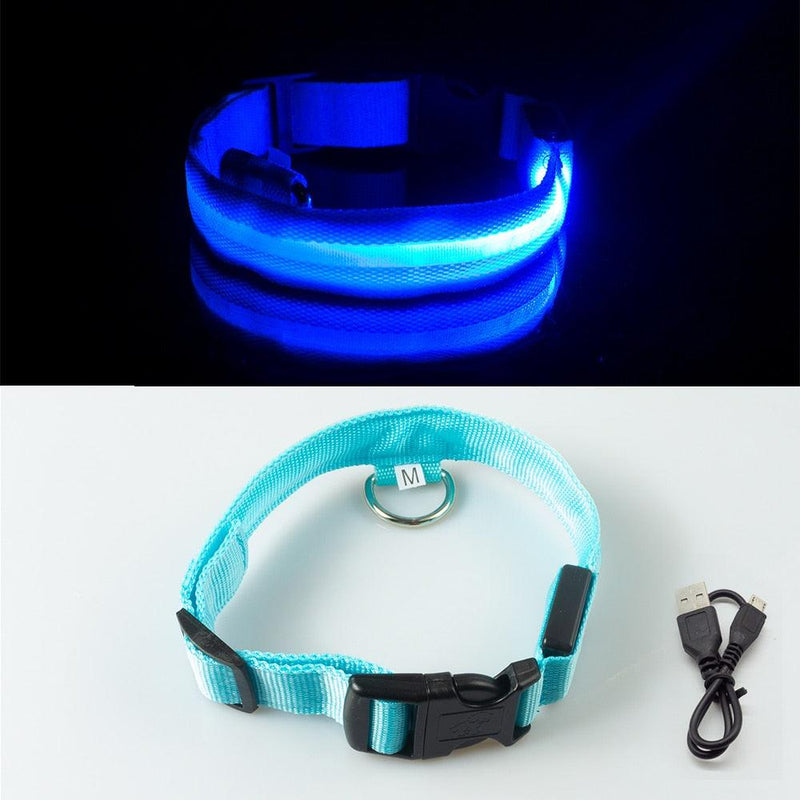 Coleira LED para Cães com Carregamento USB/Bateria Substituível
