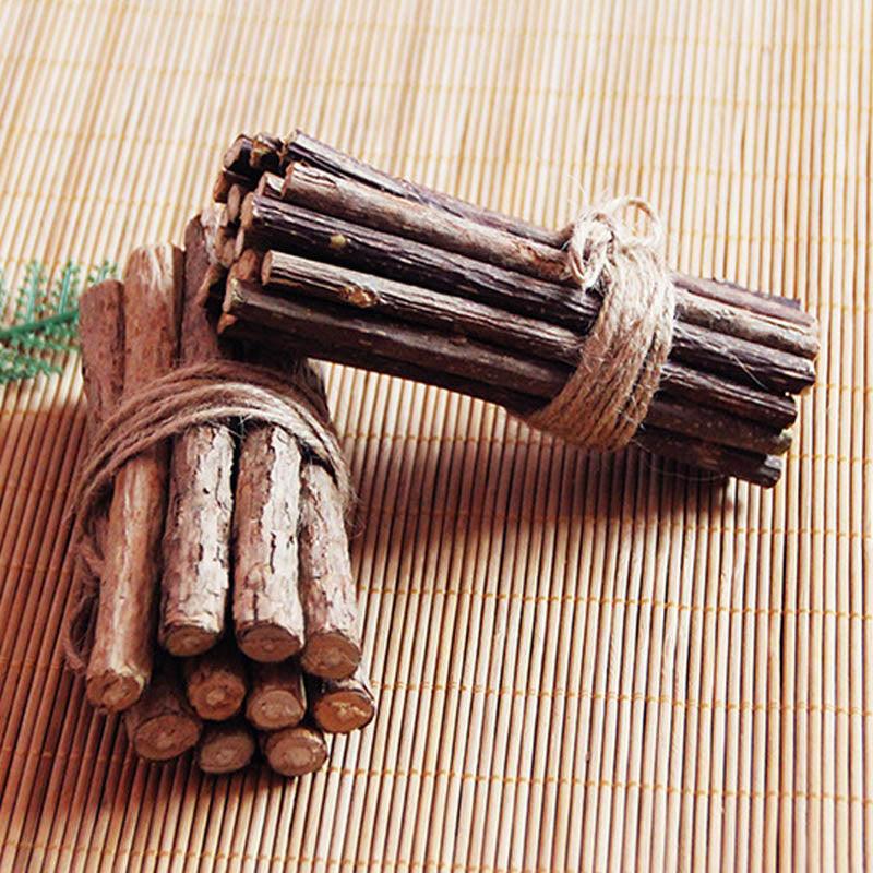 Bastão de Catnip Natural para Gatos - Limpeza e Saúde Dental