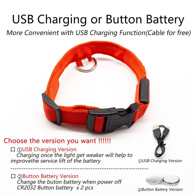 Coleira LED para Cães com Carregamento USB/Bateria Substituível