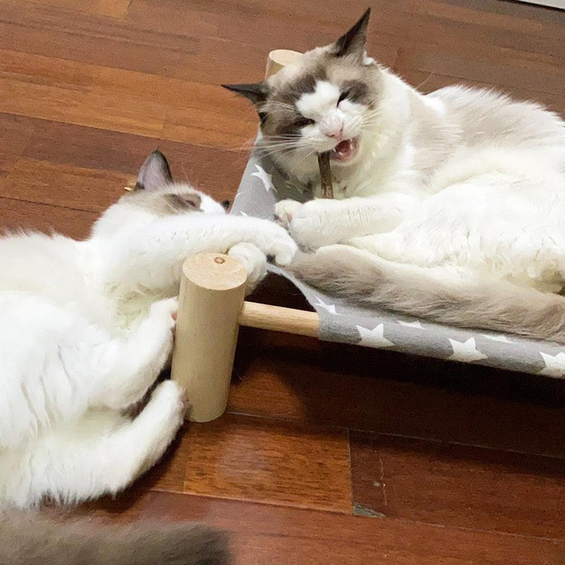Bastão de Catnip Natural para Gatos - Limpeza e Saúde Dental