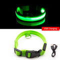 Coleira LED para Cães com Carregamento USB/Bateria Substituível