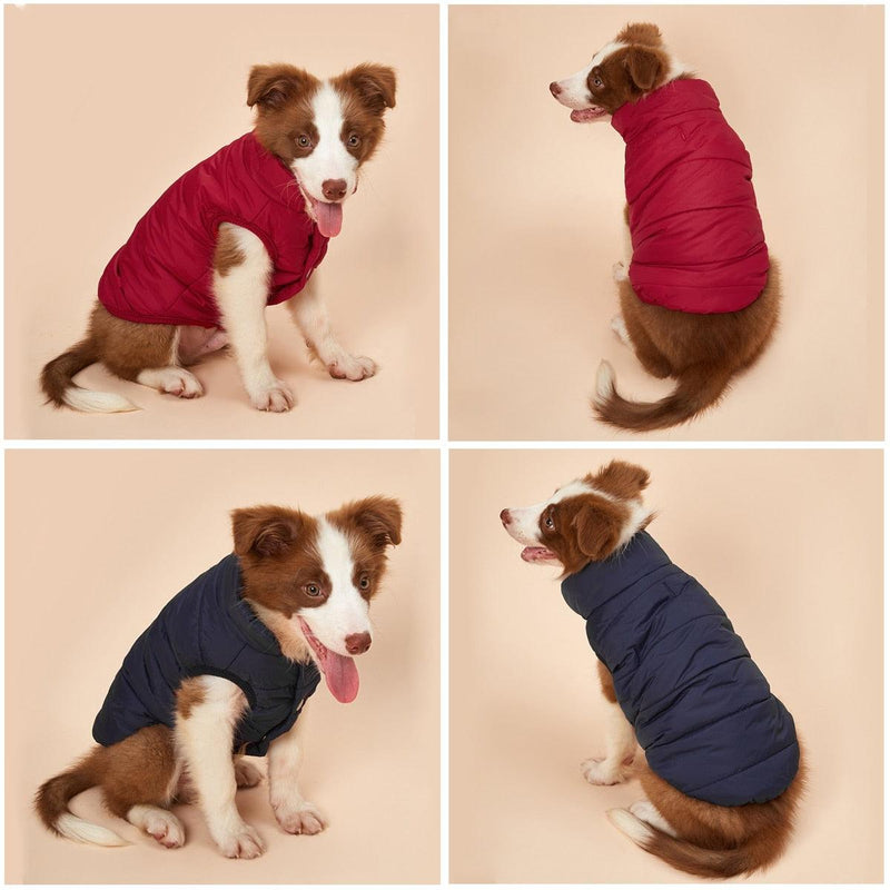 Casaco de Inverno para Cães - Roupas Aconchegantes para Pets