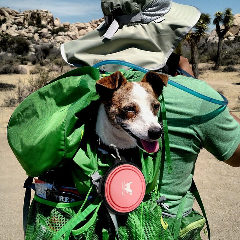 Tigelas Dobráveis Furrybaby para Cães em Viagem