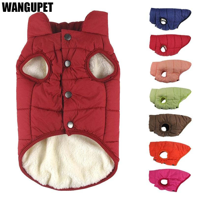 Casaco de Inverno para Cães - Roupas Aconchegantes para Pets
